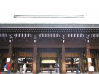 IMG_3509.JPG